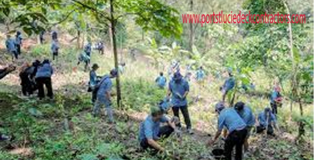 Bekerja di Perum Perhutani