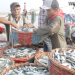 Pekerjaan Penjual Ikan