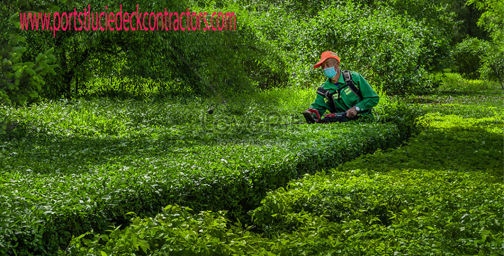 Pekerjaan Tukang Kebun Seni